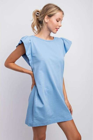 Manteo Ruffle Sleeve Shift Dress | Blue - Case Collection Clothing